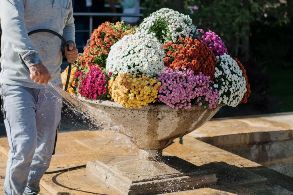 Ein gepflegter Garten im Spätsommer mit herbstlicher Vorbereitung